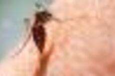 Profile picture for user Nduka