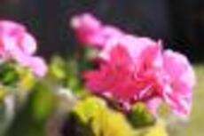 Profile picture for user MEKhan