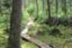 Profile picture for user miriam lyons